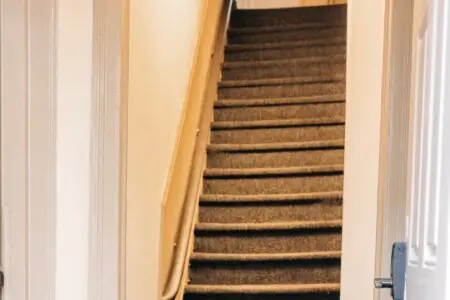 11b49fd9 0cc5 44ed b416 e1fdef9247e5